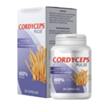 Cordyceps kapsule - recenzije, mišljenja, cijena, sastojci, što trebate, ljekarna - Hrvatska